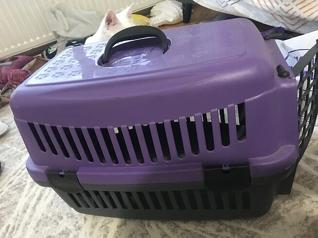 Kedi taşıma çantası box