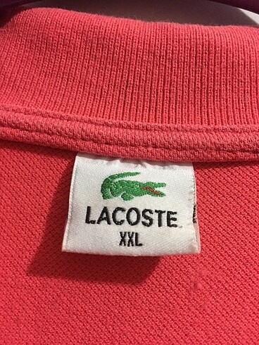 xxl Beden Lacoste tişört