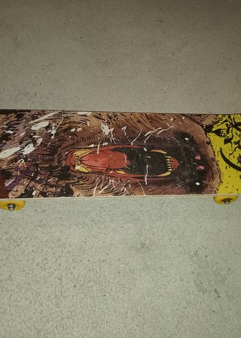 Triathlon kaykay - Görsel 2