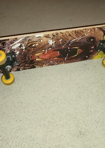 Triathlon kaykay - Görsel 3