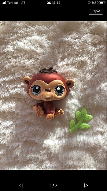lps maymun miniş