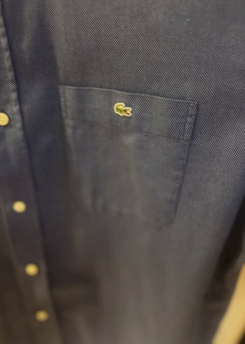 Orijinal Lacoste erkek gömlek - Görsel 2