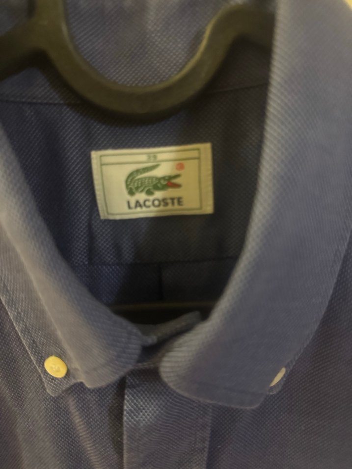 Orijinal Lacoste erkek gömlek - Görsel 3