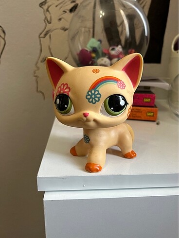 lps miniş kedi miniş