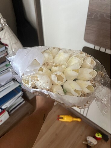 Gelin çiçeği - Görsel 2