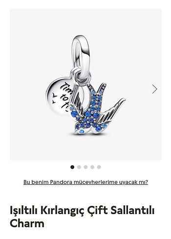 Işıltılı Kırlangıç Çift Sallantılı Charm