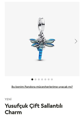 Yusufçuk Çift Sallantılı Charm
