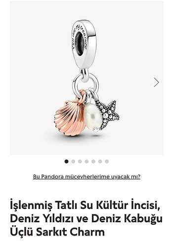 TATLI SU İNCİSİ, DENİZ YILDIZI VE DENİZ KABUĞU SALLANTILI CHARM