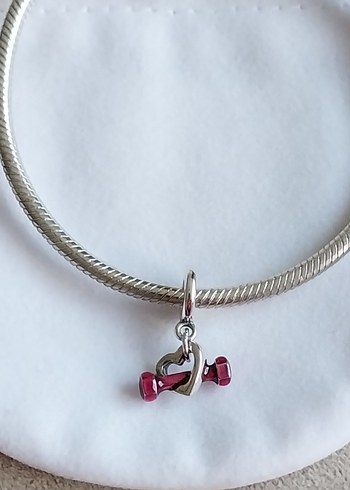 DAMBIL VE KALP SALLANTILI CHARM - Görsel 3