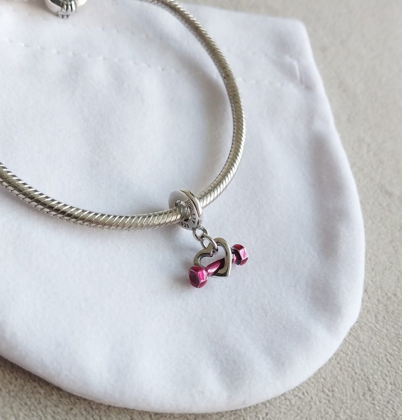 DAMBIL VE KALP SALLANTILI CHARM - Görsel 2