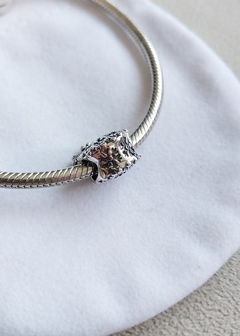 BUZLU KARTANESİ CHARM - Görsel 5