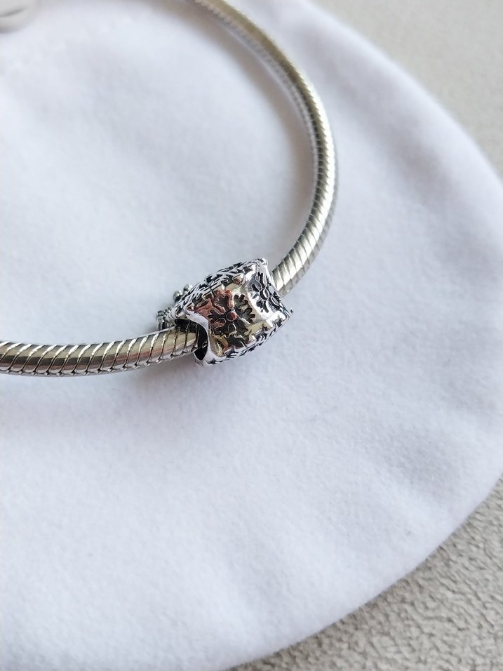 BUZLU KARTANESİ CHARM - Görsel 5