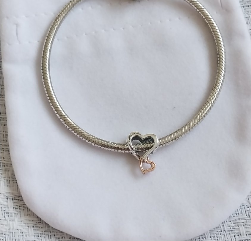 İKİ RENKLİ KAFES İŞİ SONSUZ KALP CHARM - Görsel 5