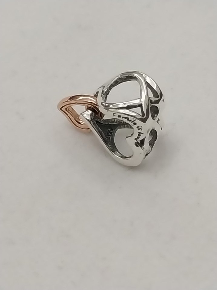 İKİ RENKLİ KAFES İŞİ SONSUZ KALP CHARM - Görsel 3