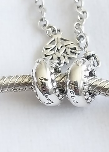 KALPLİ AİLE AĞACI GÜVENLİK ZİNCİRİ - Görsel 6