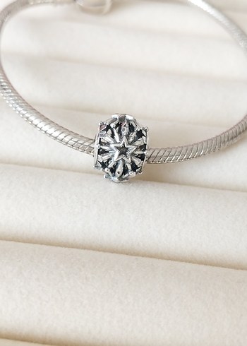 KAR TANESİ CHARM - Görsel 3