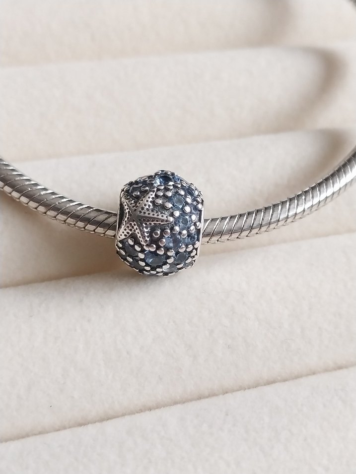 DENİZ YILDIZI OKYANUS CHARM - Görsel 2