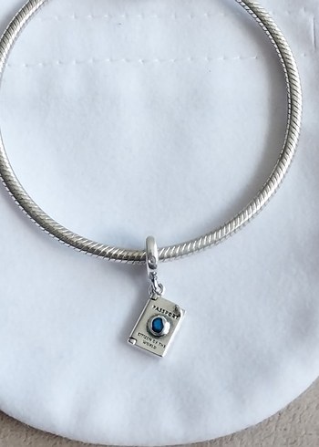 Açılabilir Pasaport Sallantılı Charm - Görsel 6