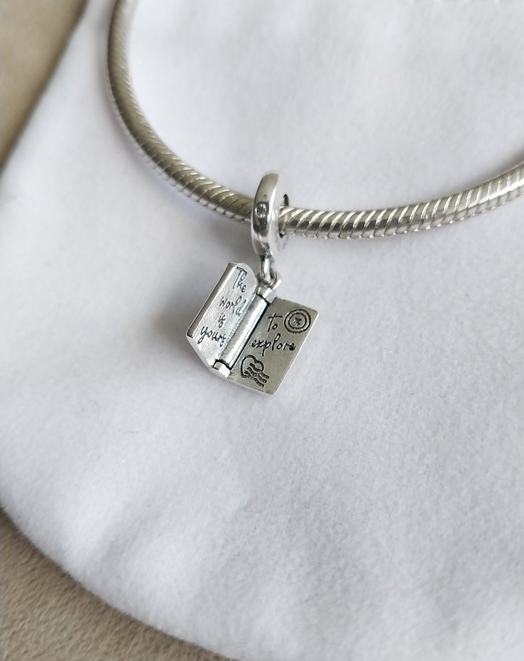 Açılabilir Pasaport Sallantılı Charm - Görsel 3