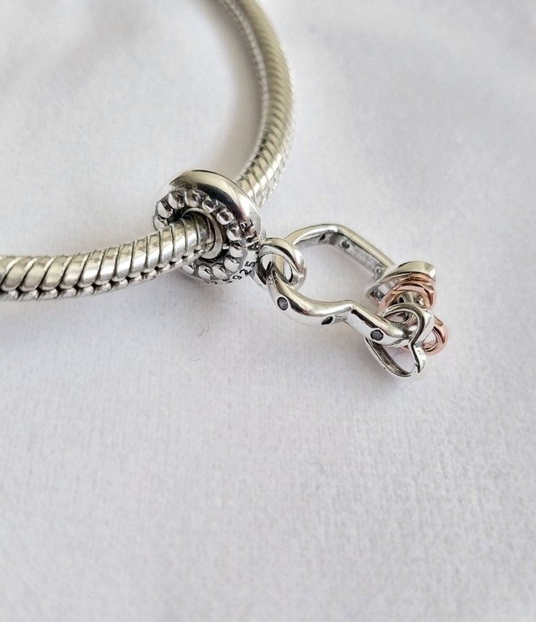 Vurgulu Kalpler Sallantılı Charm - Görsel 3