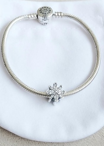 Işıltılı Kuzey Yıldızı Charm - Görsel 5