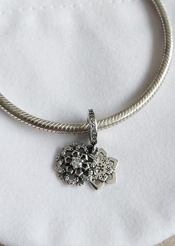 SALLANTILI KARTANESİ CHARM