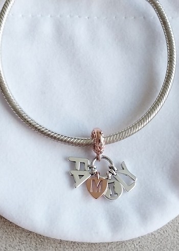 MÜKEMMEL AİLE SALLANTILI CHARM