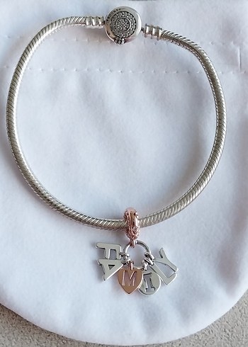 Beden MÜKEMMEL AİLE SALLANTILI CHARM