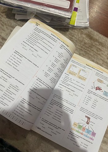 11. Sınıf Biyoloji Soru Bankası - Görsel 5