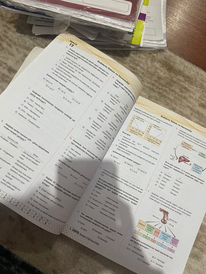 11. Sınıf Biyoloji Soru Bankası - Görsel 5