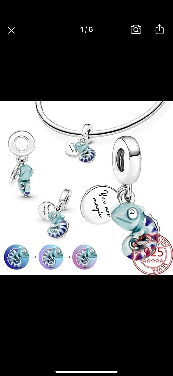 Renk Değiştiren Bukalemun Charm