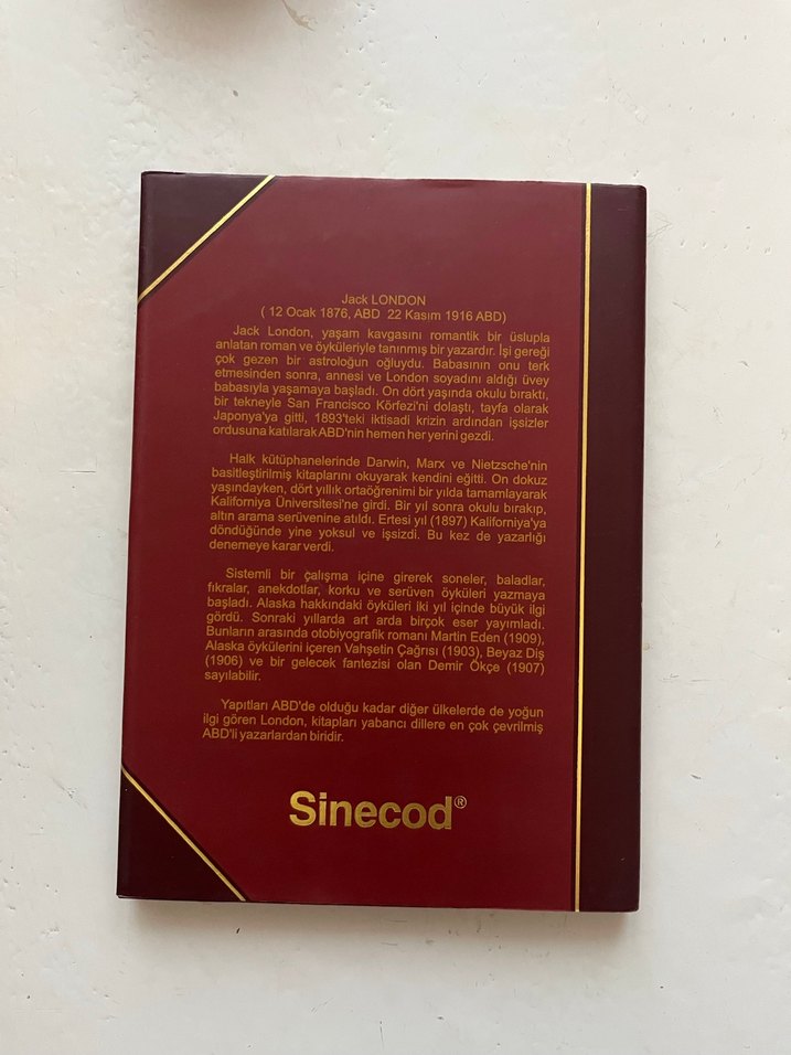 Jack London Öyküler - Sinecod - Görsel 2