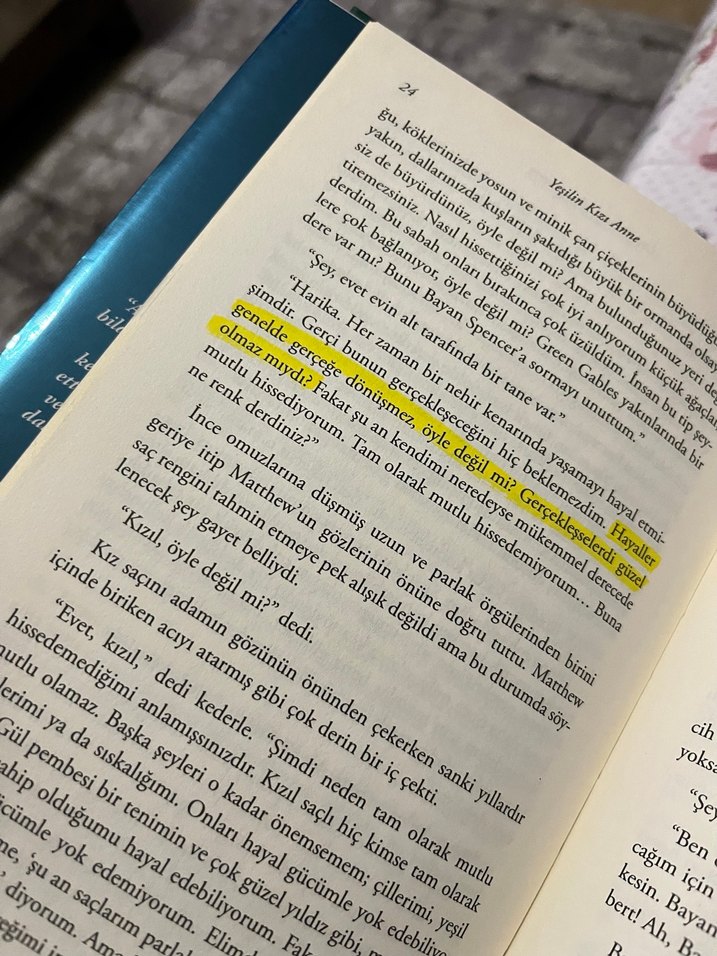 Yeşilin Kızı Anne Roman Seti - Görsel 3