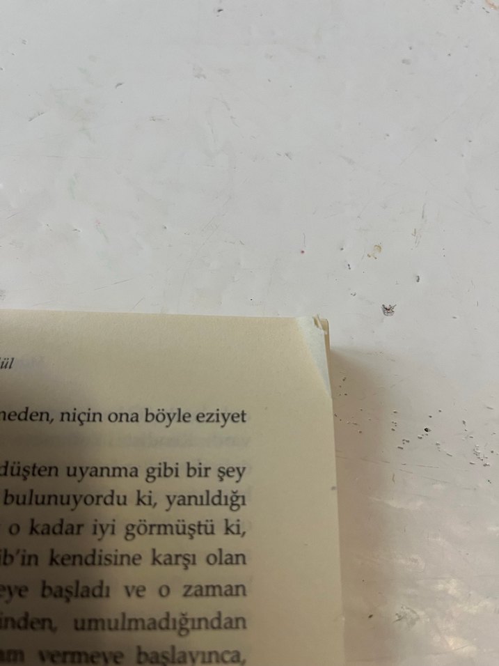 Eylül - Mehmet Rauf - Görsel 3