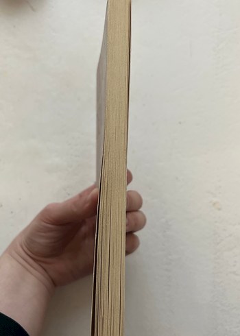 Platon - Devlet Kitabı - Görsel 4