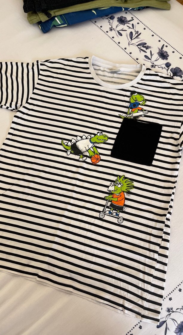 Çizgili Baskılı Erkek Tişörtü - Görsel 5