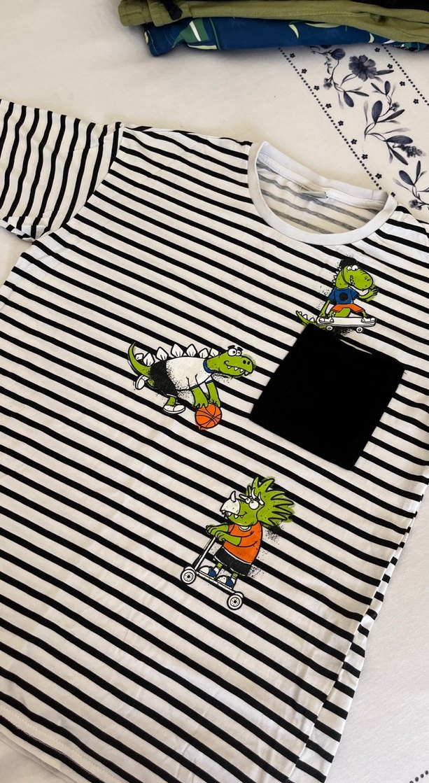 Çizgili Baskılı Erkek Tişörtü - Görsel 3