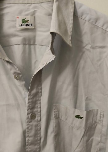 Lacoste Orijinal Lacoste gömlek