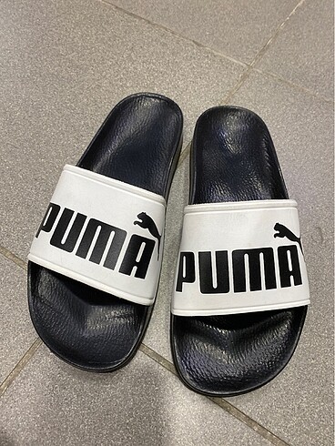 Puma terlik