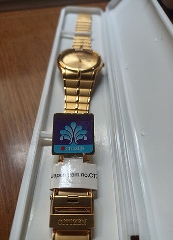 Citizen erkek saat