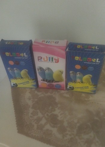 Renkli Kuş Temalı kuş yemi - Görsel 2