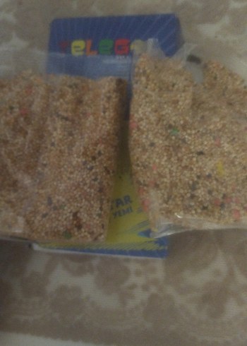 Renkli Kuş Temalı kuş yemi - Görsel 5