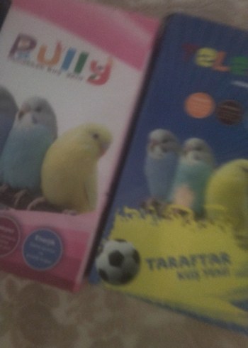 Renkli Kuş Temalı kuş yemi - Görsel 3