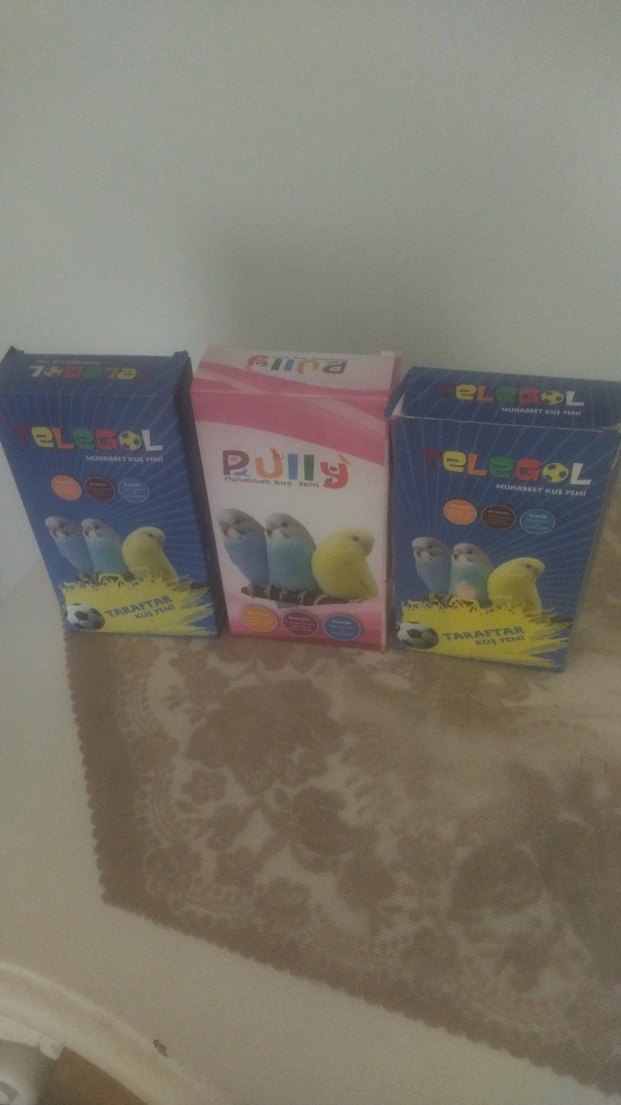 Renkli Kuş Temalı kuş yemi - Görsel 2