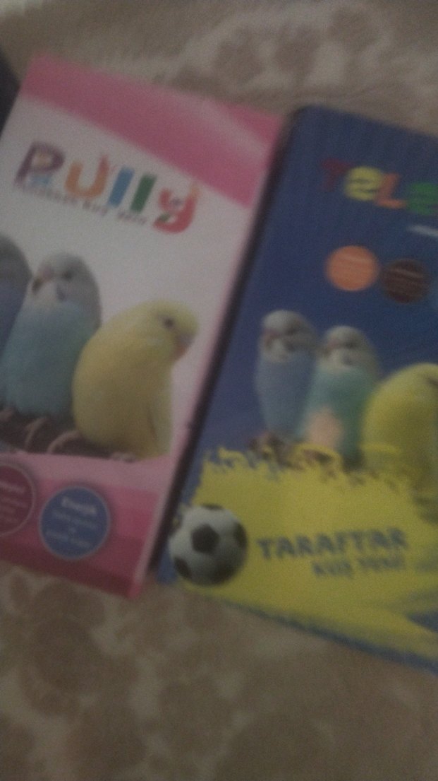 Renkli Kuş Temalı kuş yemi - Görsel 3