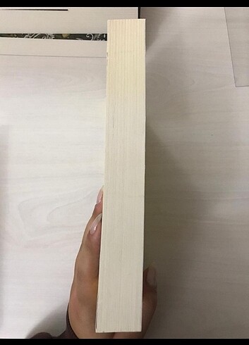  02.02 ayçiçeği karnavalı