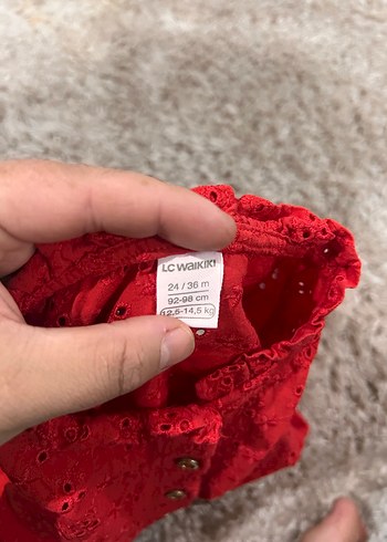 LC Waikiki 24-36 Ay