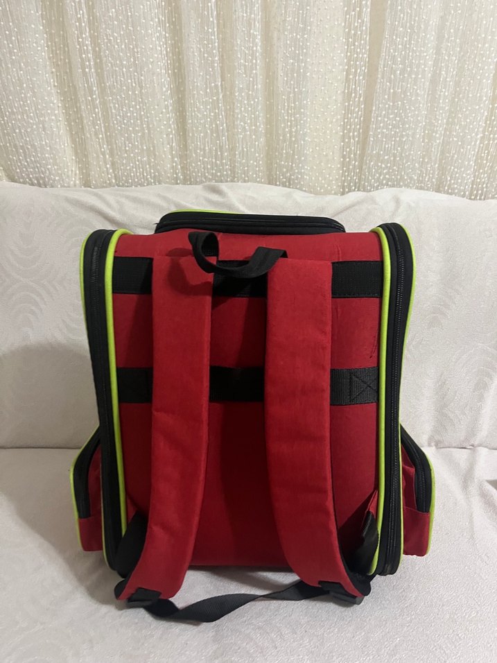 Renkli Kedi Taşıma Çantası Sırt Çantası - Görsel 3