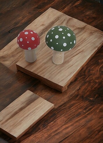 İk adet mantar - Görsel 5