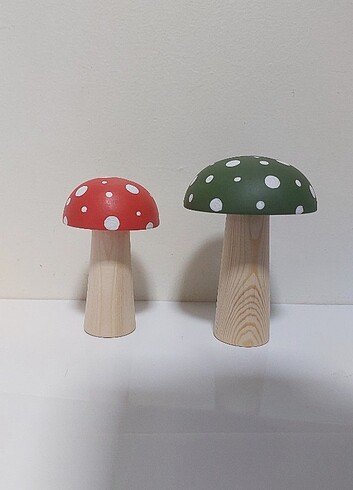 İk adet mantar - Görsel 6